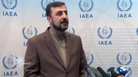 Iran is a major partner of UN atomic agency: Envoy