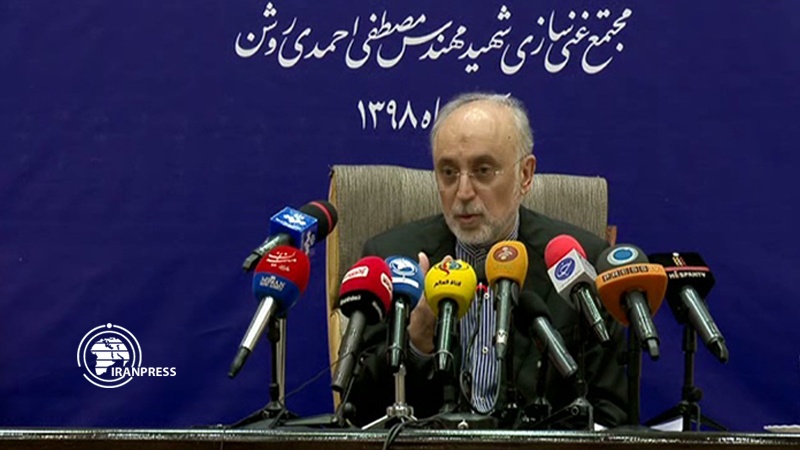 Iranpress: Iran possesses 15 types of advanced centrifuges: Salehi