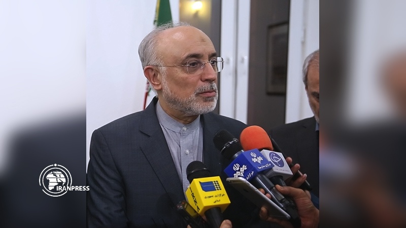Iranpress: Head of AEOI: Iran does not accept JCPOA to be a one-way road