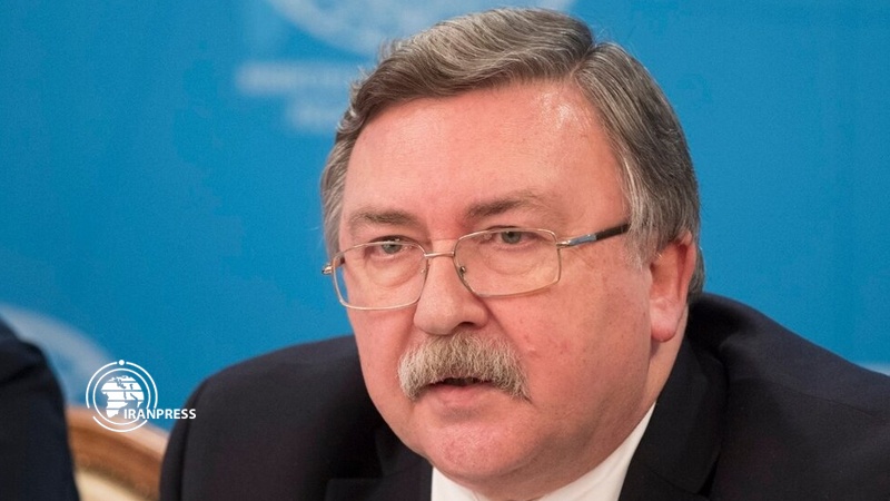 Russian Ambassador to International Organizations in Vienna, Mikhail Ulyanov