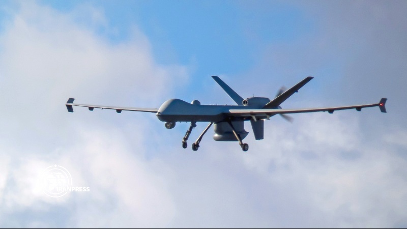 Iranpress: Palestinians shoot down Israeli UAV