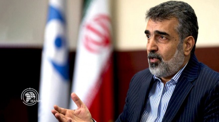 Iran's enrichment capacity to reach pre-JCPOA level