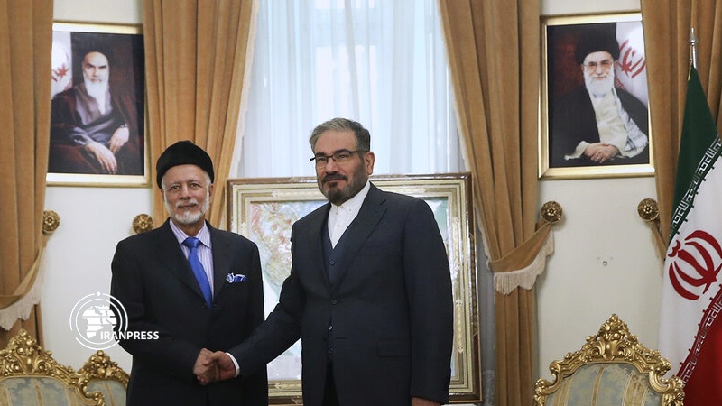 Iranpress: Regional coalitions guarantee security of region