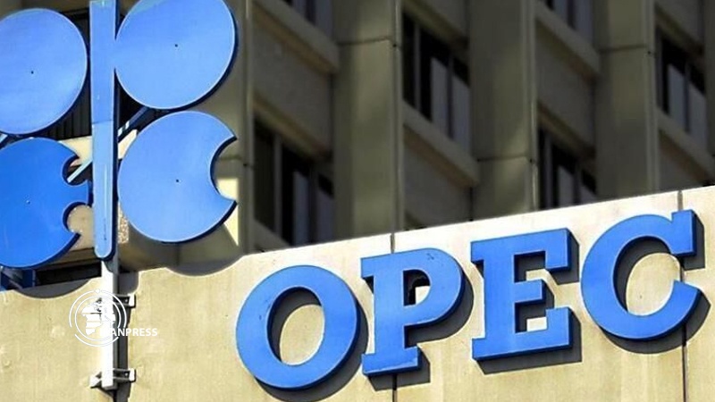 Iranpress: OPEC agrees to cut production another 500,000 bpd