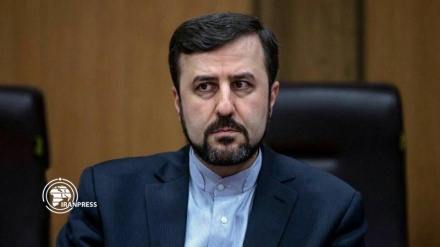 Iran not to give up oil production: Envoy