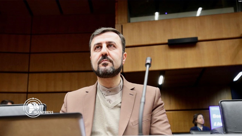 Ambassador and Permanent Representative of the Islamic Republic of Iran to International Organizations in Vienna, Kazem Gharib Abadi