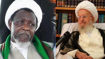Nigerian government must end oppression against Sheikh Zakzaky: Shia Marja