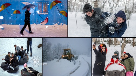 Beautiful snowfall brings joy to Iranians in winter