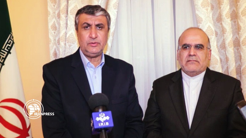 Iranpress: Iran fulfills its promises on Ukrainian plane crash: Envoy