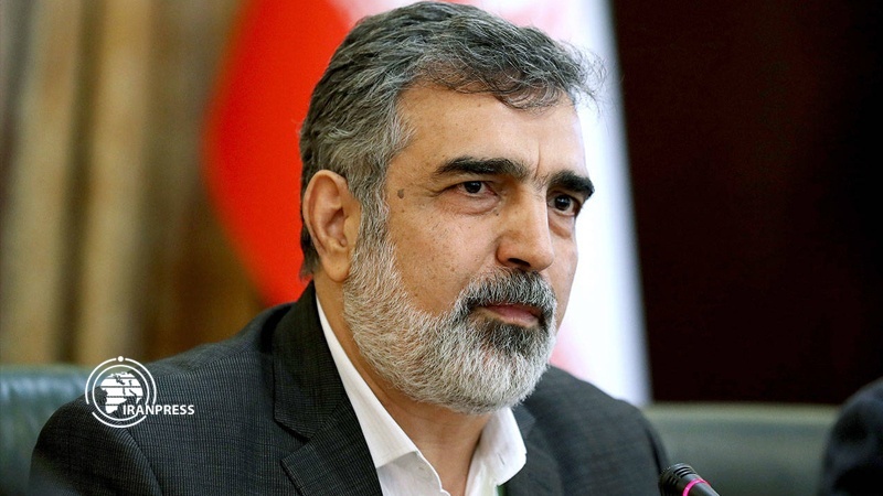 Iranpress: كمالوندي : البرنامج النووي الايراني سيستمر رغم الحظر