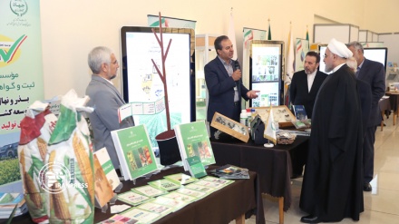 President Rouhani visits agricultural achievements fair