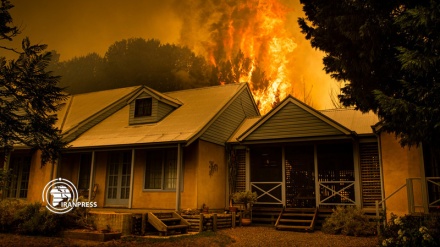 Australia fires: More than 200 homes burned, Military deployed