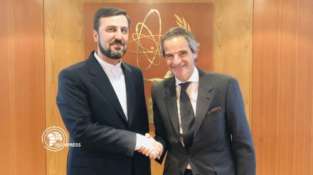 Iran, IAEA discuss nuclear deal, bilateral ties