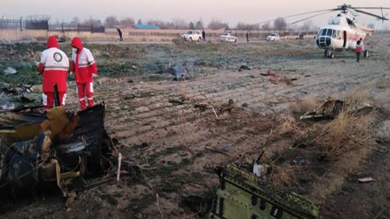 Iranpress: Ukrainian Boeing 737 crash due to technical malfunction: Iran