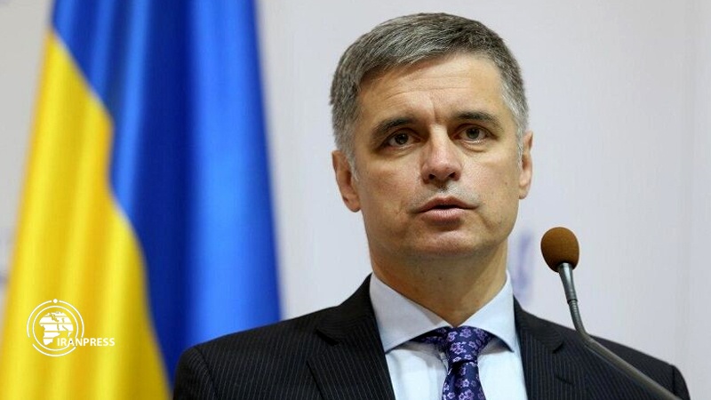 Iranpress: Ukraine FM rejects rumors on crashed plane