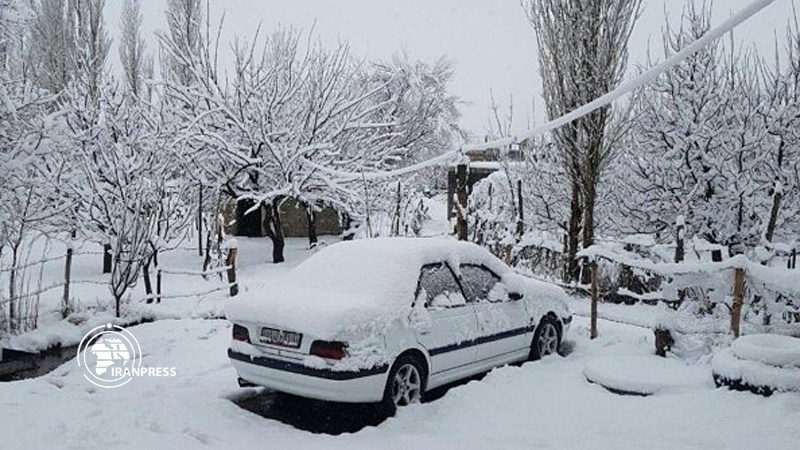 Iranpress: Heavy snowfall brings some parts of Iran to standstill
