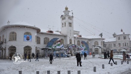 Photo: Winter snow whitened the city of Rasht