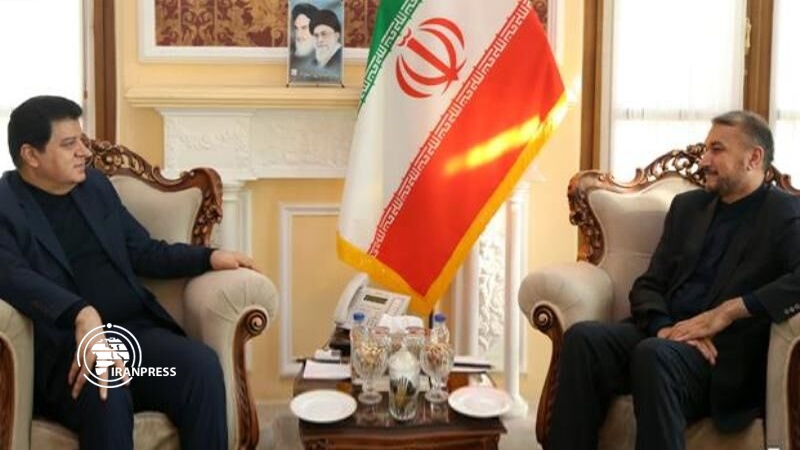 Iranpress: Iran fully supports Syria’s territorial integrity: Parliament Speaker Senior Advisor