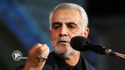 Lt.Gen Soleimani, an international figure: Tehran University prof.