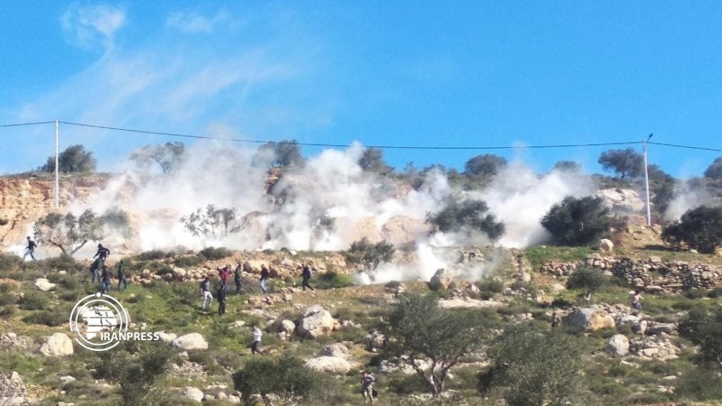 Iranpress: إصابة عشرات الفلسطينيين بمواجهات مع الجيش الإسرائيلي 