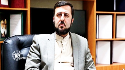Iranian ambassador criticizes IAEA on politicizing technical issues