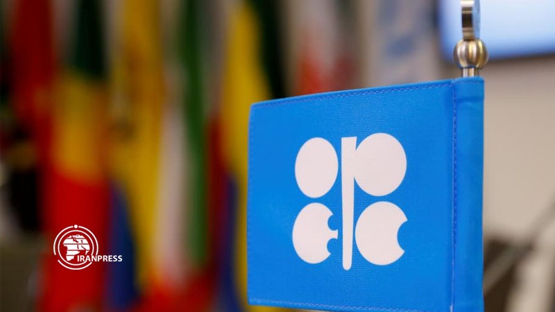 OPEC fails to agree on supply cut
