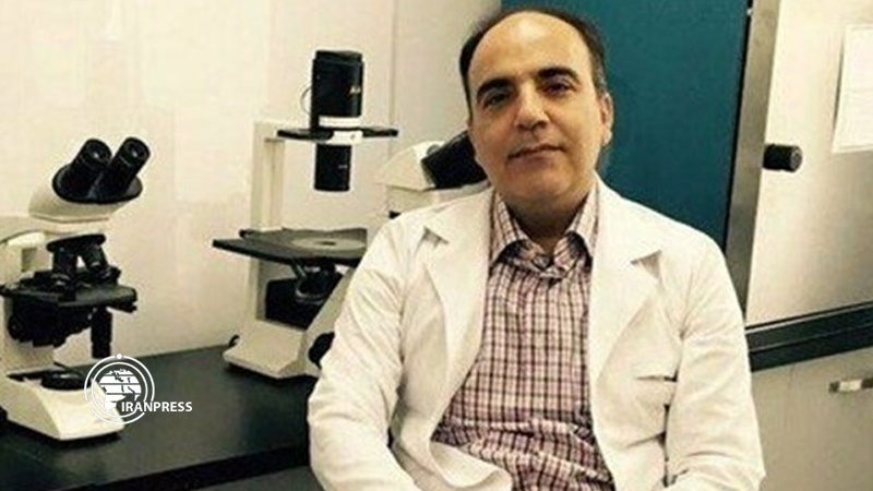 Iranpress: Coronavirus treatment drug built by an Iranian scientist