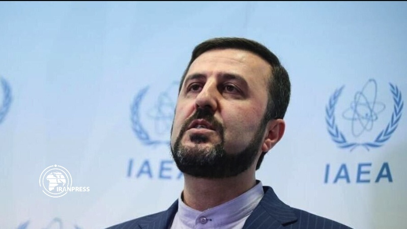 Iranpress: Iran takes appropriate action in response to IAEA BoG