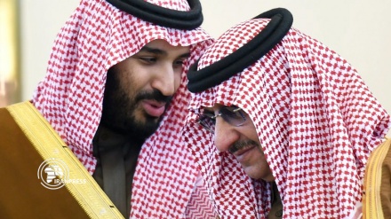 Arrest of rival princes, engineering power structure in Saudi Arabia