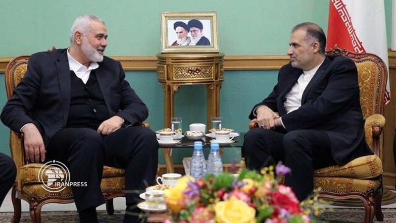 Iranpress: هنية يلتقي السفير الإيراني في روسيا