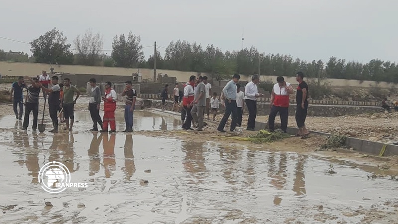 Iranpress: السيول تلحق خسائر بالغة بمحافظة بوشهر 