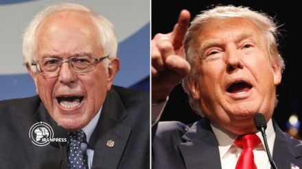Stay out of the Democratic primary: Sanders warns Trump