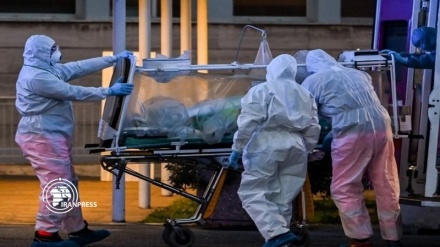 Coronavirus: UK death toll hits 10,612 