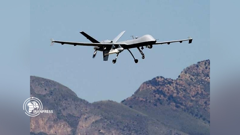 Iranpress: Israeli drone crashed in Gaza