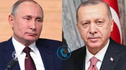 Erdogan, Putin confer on Syria's Idlib developments on the phone