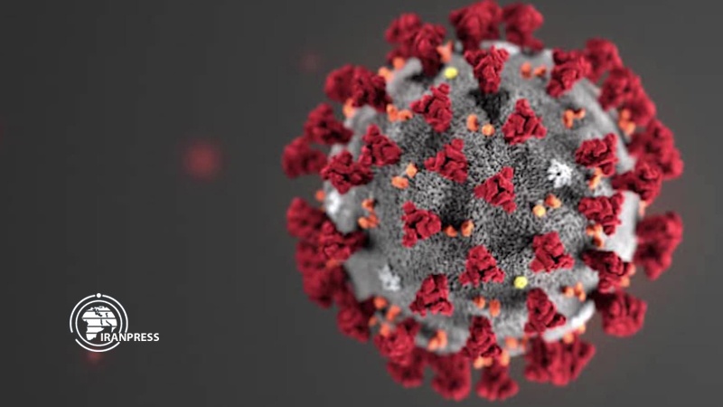 Iranpress: Global Coronavirus infection cases surpass 1 million /  53,000 people have died