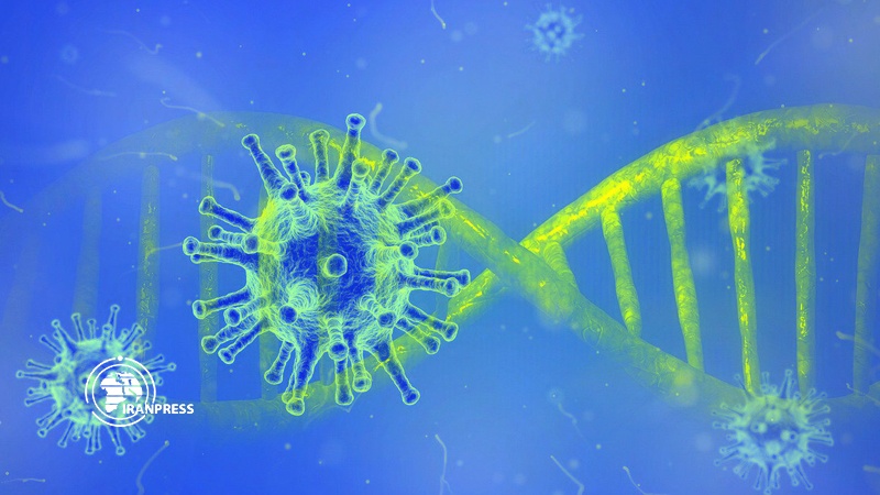 Iranpress: لأول مرة.. تسجيل تسلسل الجينوم الخاص بفيروس كورونا في ايران