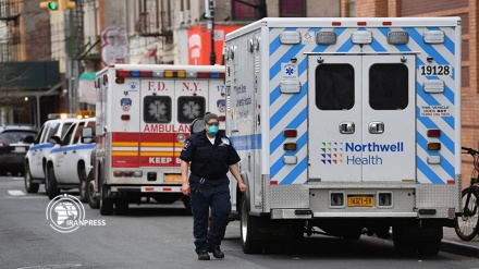 New York suffers highest single-day coronavirus death toll