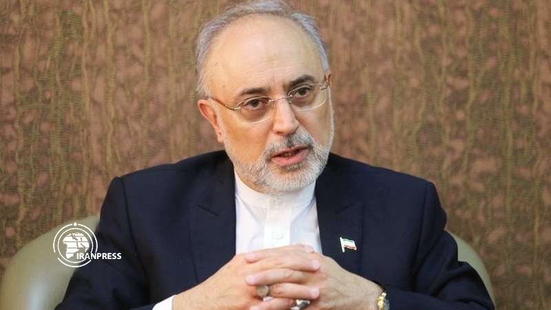 Iranpress: AEOI Head: IAEA should not act as a tool for intelligent services