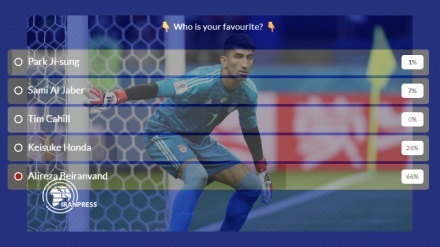 Iran's Beiranvand leads in Asia's FIFA World Cup Heroes
