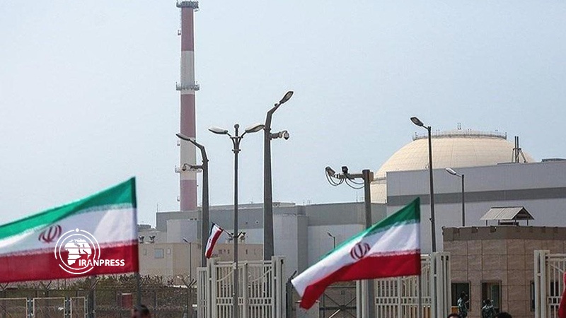 Iranpress: Bushehr Nuclear Power Plant successfully passes WANO evaluations