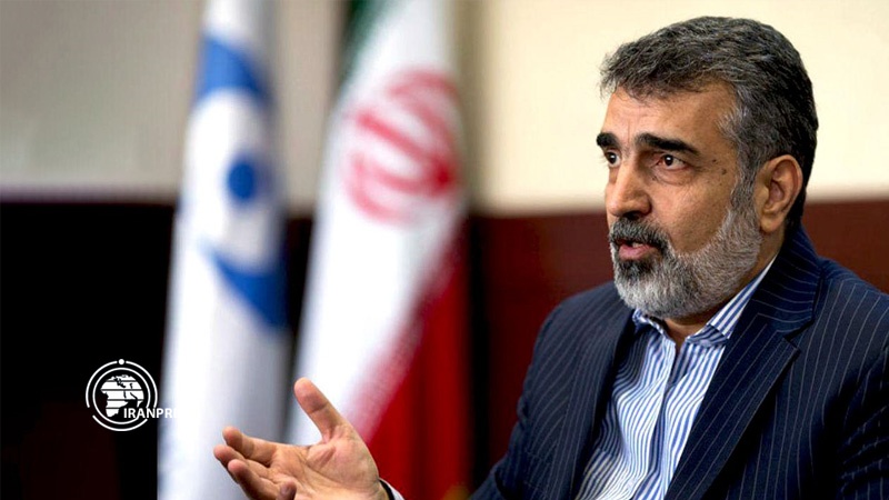 Iranpress: منظمة الطاقة الذرية الإيرانية تحضر في ساحة مكافحة كورونا بكل قواها