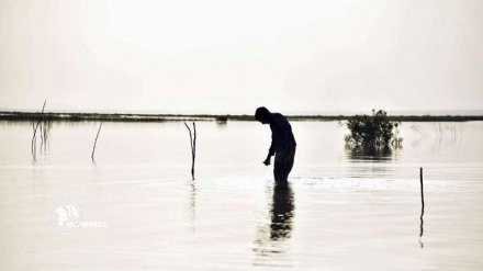Iran, int'l community sign document to revive Hamoun wetland