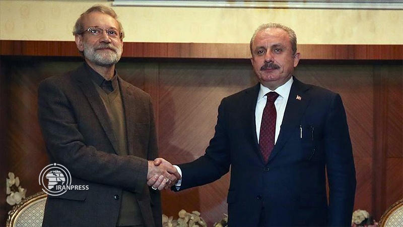 Iranpress: Iran,Turkey discuss joint measures to fight against COVID-19