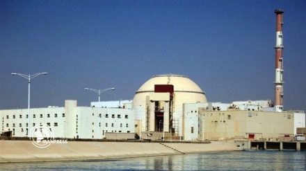 Bushehr Nuclear Power Plant halts activities due to refueling 