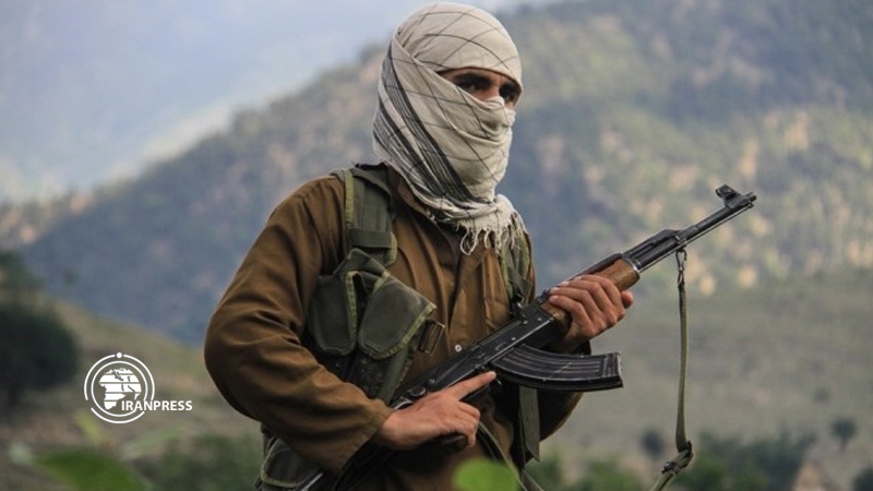 طالبان ترفض دعوة أشرف غني لوقف إطلاق النار