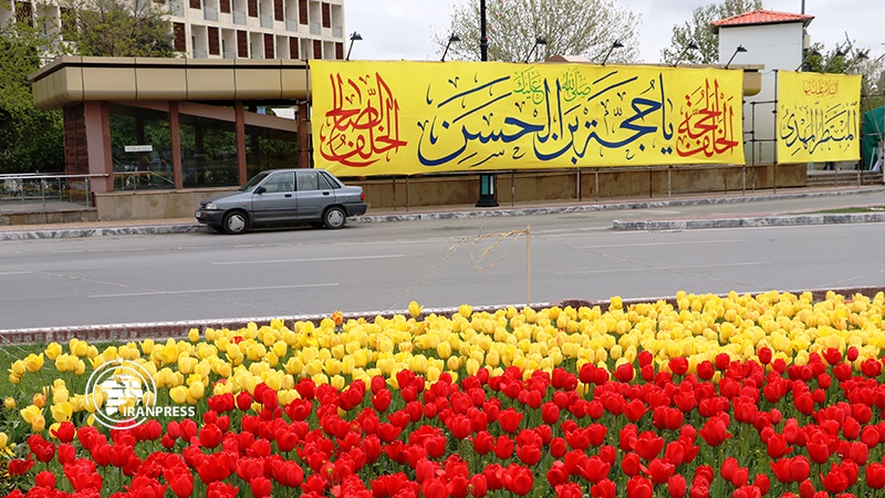 Iranpress: تزيين شوارع مدينة مشهد على أعتاب ذكرى مولد منقذ البشرية 