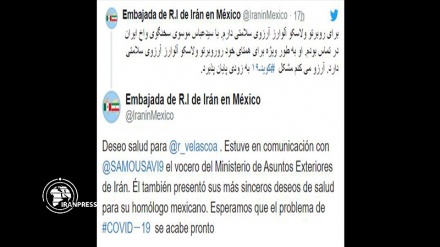 Iranian FM Spox wishes Mexican counterpart good health