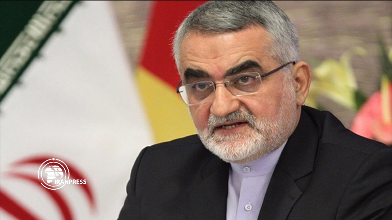Iranpress: Under US pressure, Germany declared Hezbollah terrorist: Senior MP