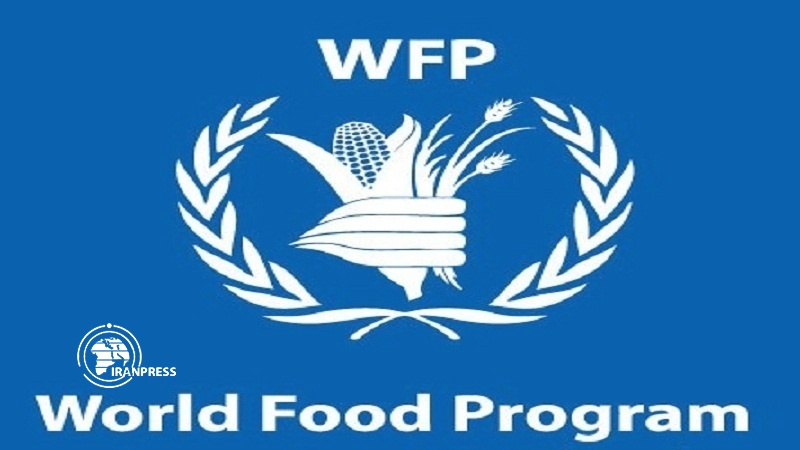 Iranpress: برنامج الأغذية العالمي يحذر من الوضع الإنساني في اليمن جراء وباء كورونا